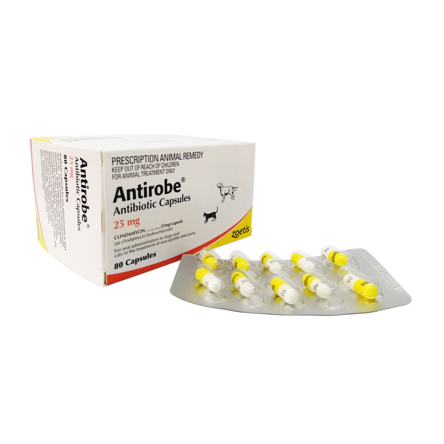 アンチローブ25mg80カプセル - 画像 (6)