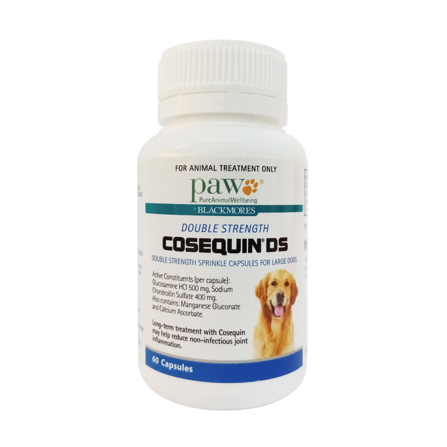 COSEQUIN 犬用関節サプリメント 250粒 Amazon.com : Nutramax Cosequin for Dogs Joint Health