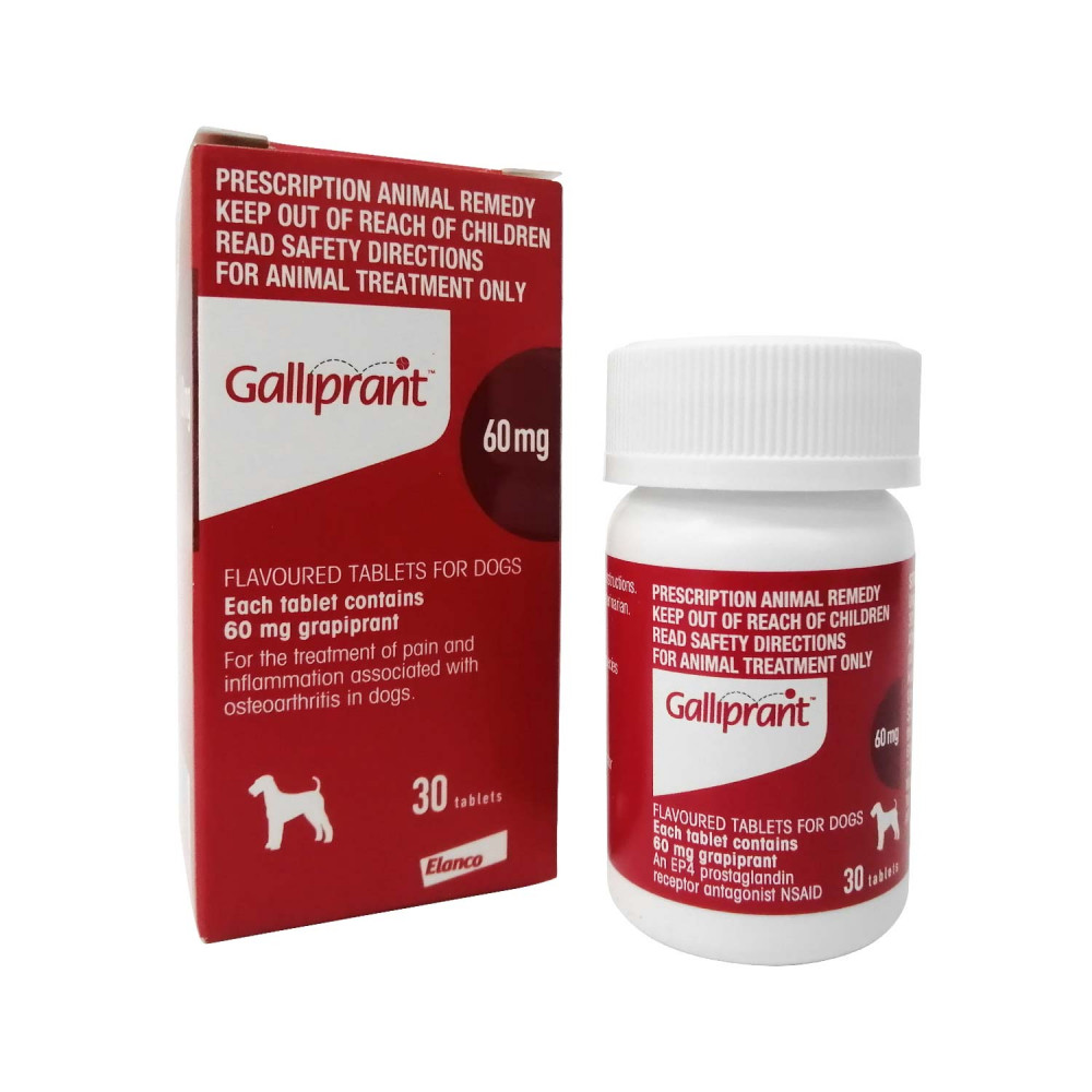 ガリプラント60mg30錠 関節炎 犬猫薬の通販 ペットくすり