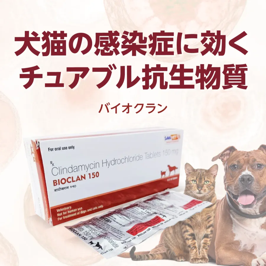 トラムリン注 | 製品情報 | ゼノアック［日本全薬工業］