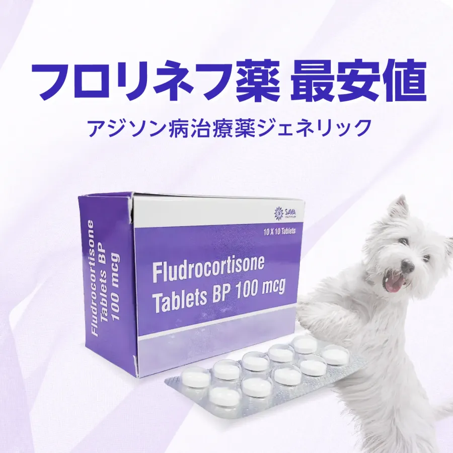 フロリネフジェネリック0.1mg100錠通販｜犬猫のアジソン病治療薬
