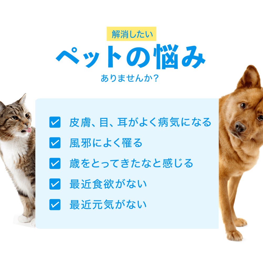 イムノル｜免疫力アップ｜犬猫薬の通販｜ペットくすり