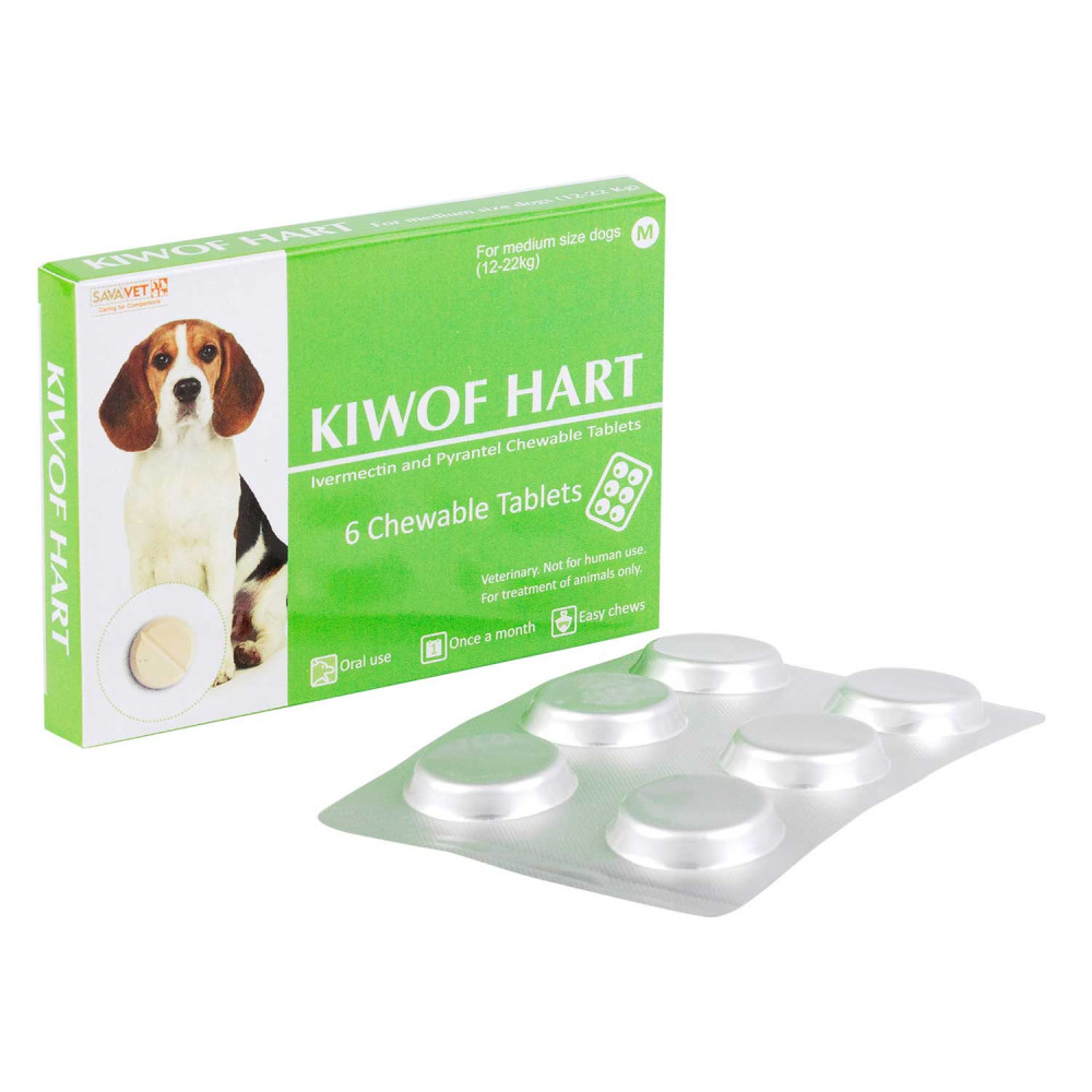 犬用キドナ（wv24商品） wv24 チューブダイエット 犬用キドナ 腎疾患用 20g×18袋