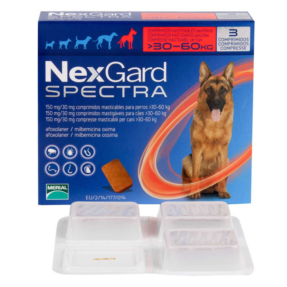 ネクスガードスペクトラ超大型犬用30～60kg未満｜フィラリア・ノミダニ 