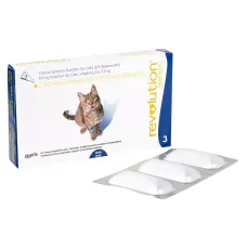 revolution-cat-1-228x228.webp revolution-cat-1-228x228.webp