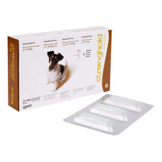 ストロングホールド小型犬用6本（レボリューション欧州版