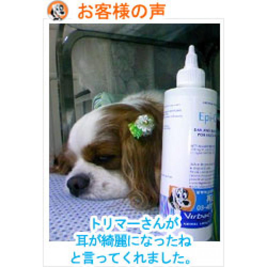 エピオティック1ml 外耳炎 犬猫薬の通販 ペットくすり