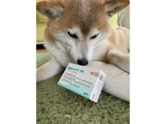 アポキル錠3.6mg20錠｜アトピー性皮膚炎｜犬猫薬の通販｜ペット