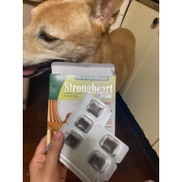 ベトメディンチュアブル2.5mg50錠｜心不全｜犬猫薬の通販