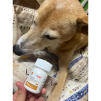 パラディア15mg30錠｜肥満細胞腫｜犬猫薬の通販｜ペットくすり