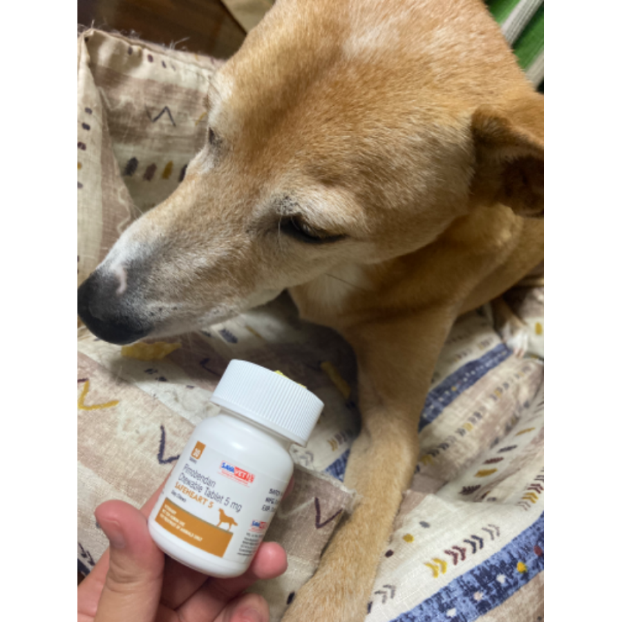 セーフハートチュアブル30錠 5mg｜心疾患｜犬猫薬の通販｜ペット