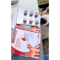 アポキル錠5.4mg20錠｜アトピー性皮膚炎｜犬猫薬の通販｜ペットくすり