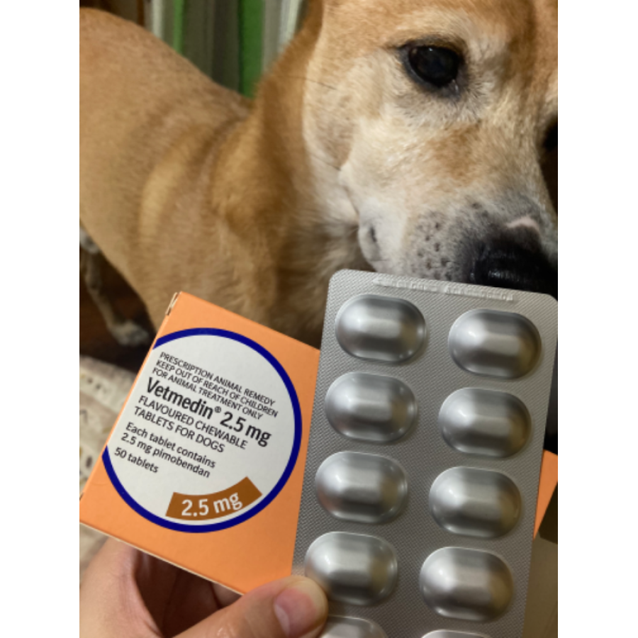 ベトメディンチュアブル2.5mg50錠｜心不全｜犬猫薬の通販