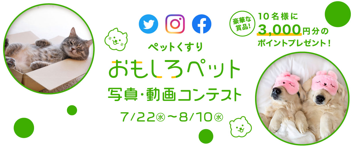 おもしろペット写真 動画コンテスト おもしろペット写真 動画コンテスト