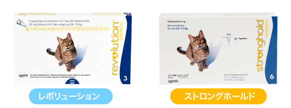 レボリューションとストロングホールド