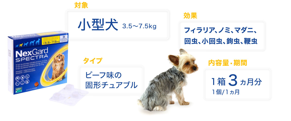 ネクスガードスペクトラ小型犬用3 5 7 5kg未満 フィラリア ノミダニ薬通販 ペットくすり